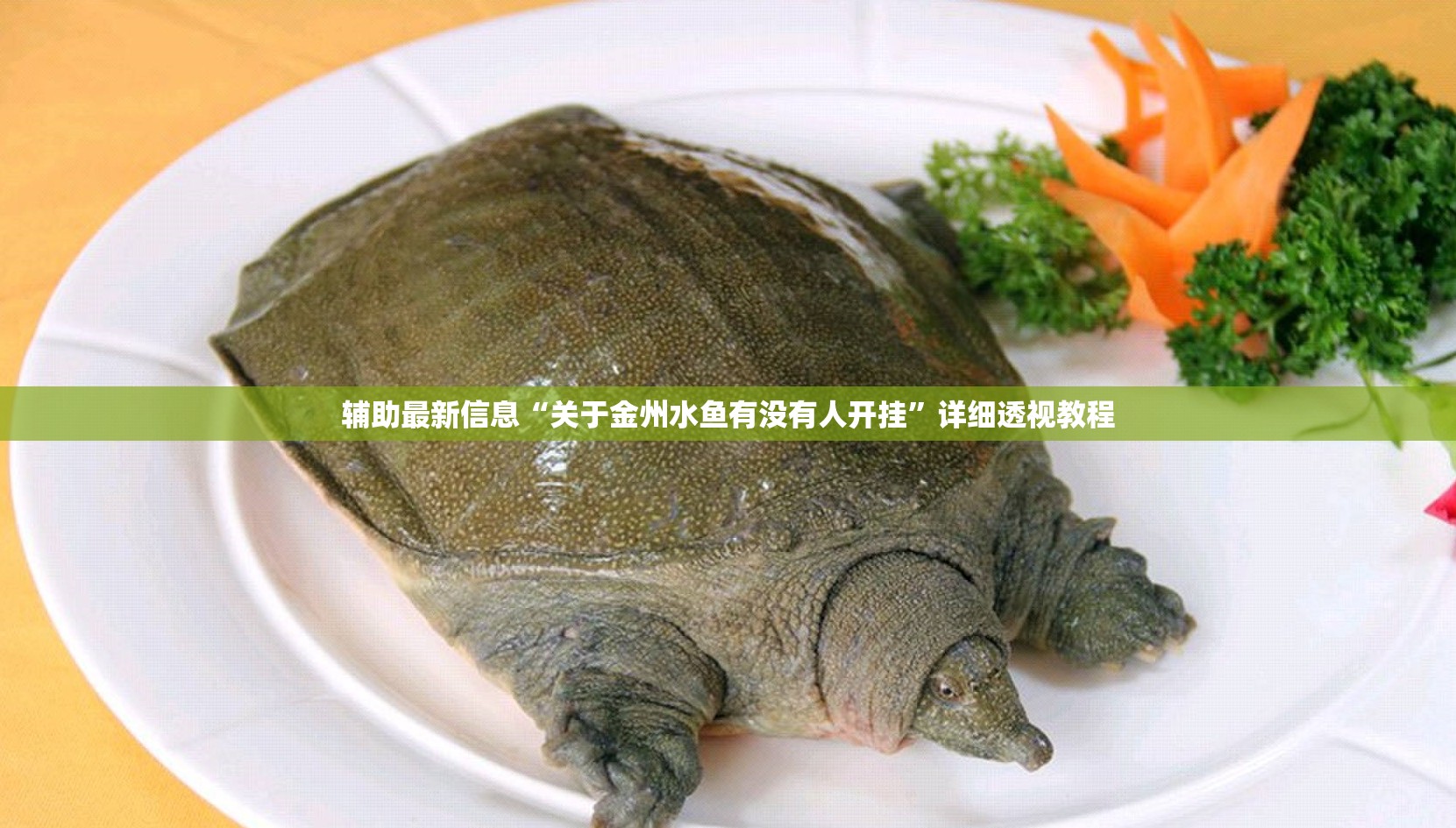 辅助最新信息“关于金州水鱼有没有人开挂	”详细透视教程