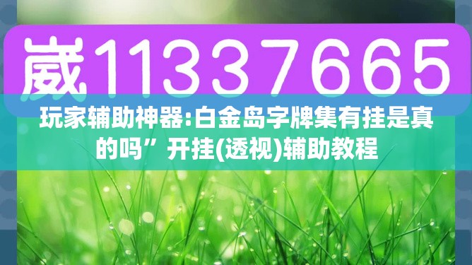 玩家辅助神器:白金岛字牌集有挂是真的吗”开挂(透视)辅助教程