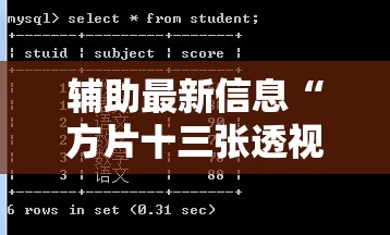 辅助最新信息“方片十三张透视	”开挂辅助透视教程