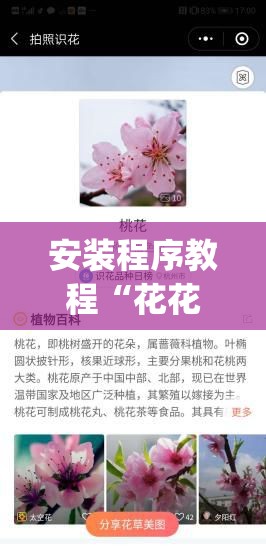 安装程序教程“花花生活圈可以开挂吗(必备神器)	”其实真的确实有挂