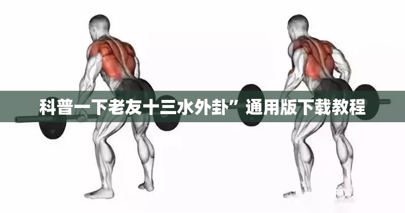 科普一下老友十三水外卦”通用版下载教程
