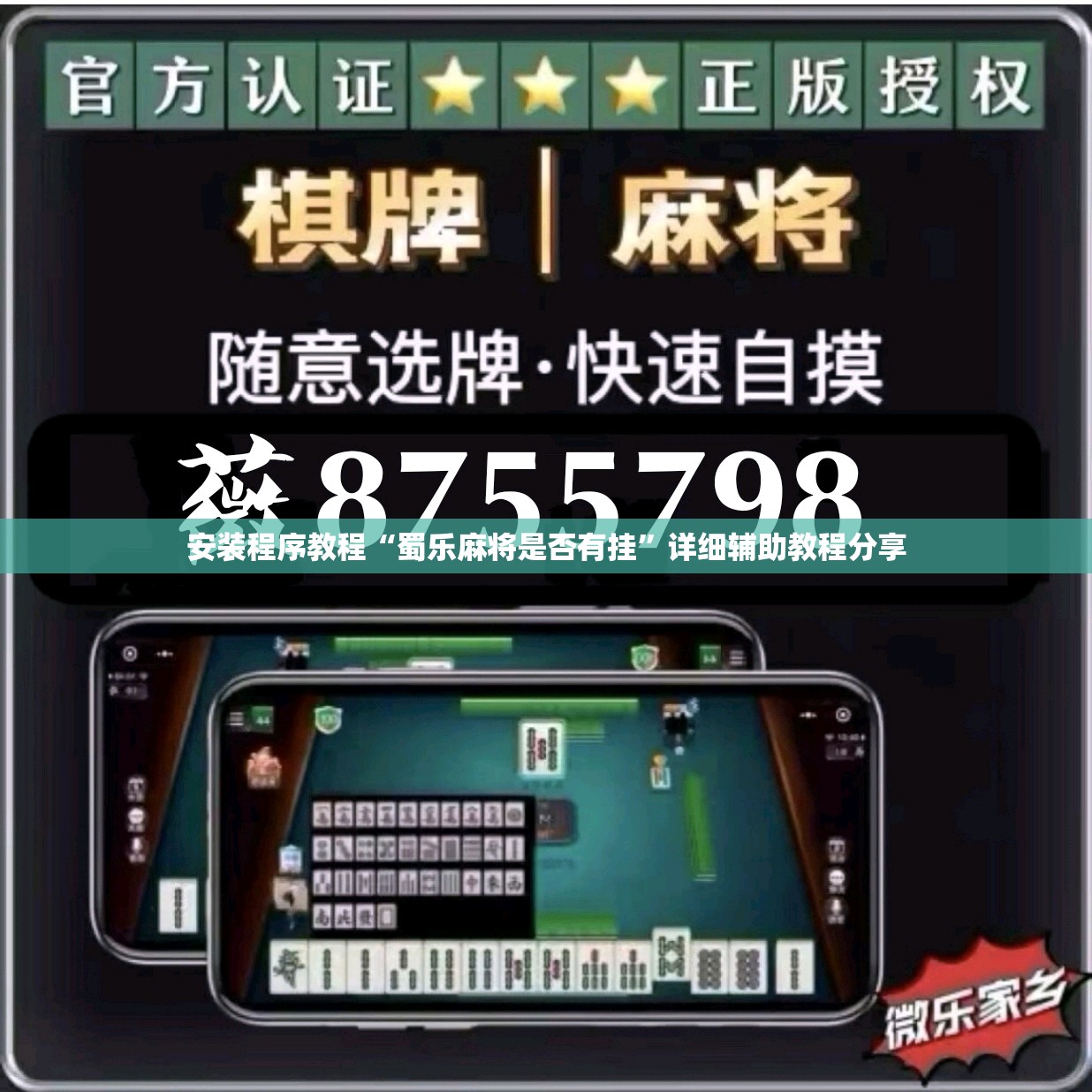 安装程序教程“蜀乐麻将是否有挂”详细辅助教程分享