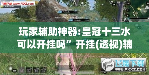 玩家辅助神器:皇冠十三水可以开挂吗”开挂(透视)辅助教程