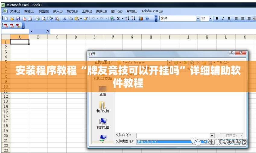 安装程序教程“牌友竞技可以开挂吗	”详细辅助软件教程