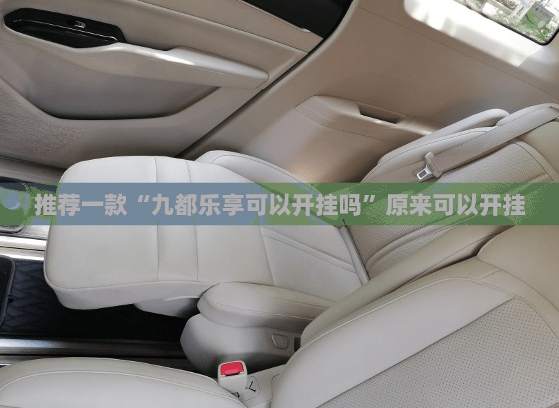 推荐一款“九都乐享可以开挂吗”原来可以开挂