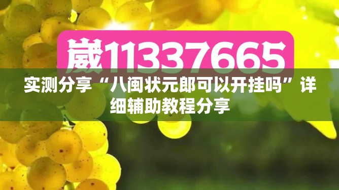 实测分享“八闽状元郎可以开挂吗	”详细辅助教程分享