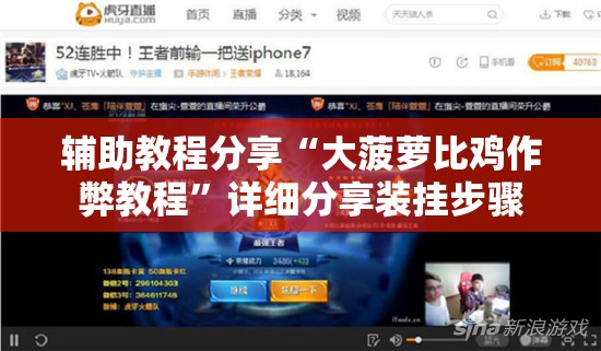 辅助教程分享“大菠萝比鸡作弊教程	”详细分享装挂步骤