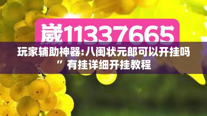 玩家辅助神器:八闽状元郎可以开挂吗”有挂详细开挂教程