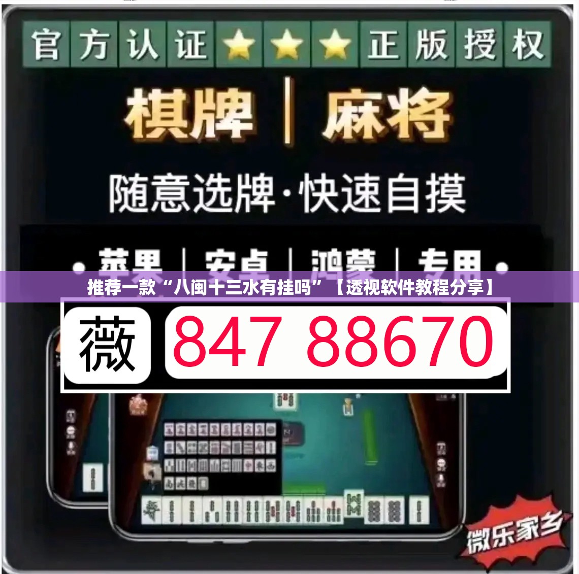 推荐一款“八闽十三水有挂吗”【透视软件教程分享】