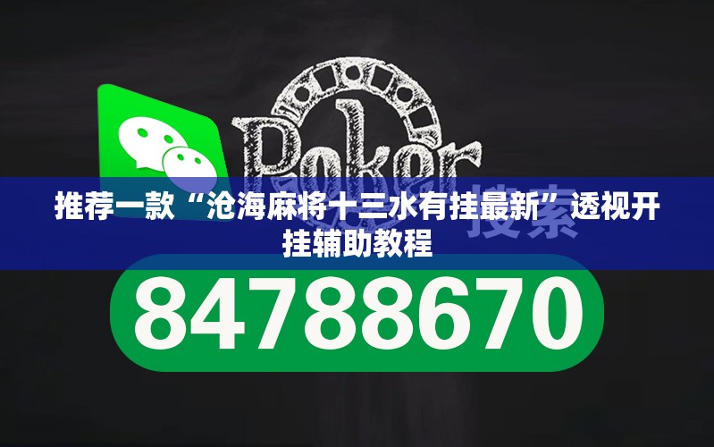 推荐一款“沧海麻将十三水有挂最新”透视开挂辅助教程