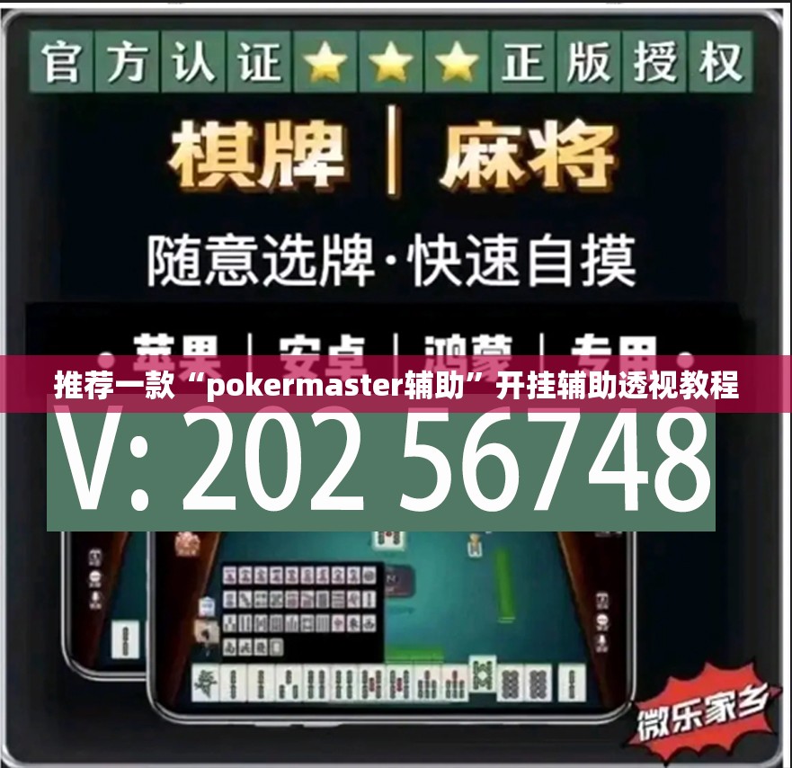 推荐一款“pokermaster辅助”开挂辅助透视教程
