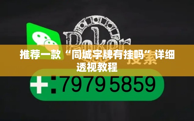 推荐一款“同城字牌有挂吗	”详细透视教程
