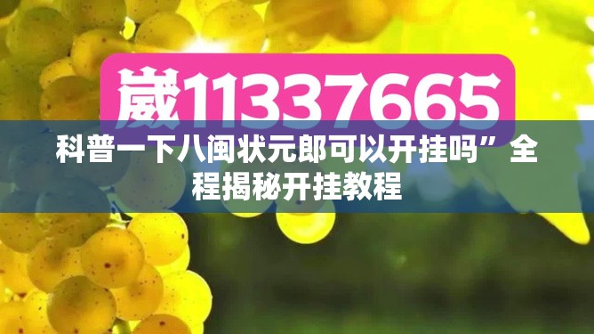 科普一下八闽状元郎可以开挂吗”全程揭秘开挂教程