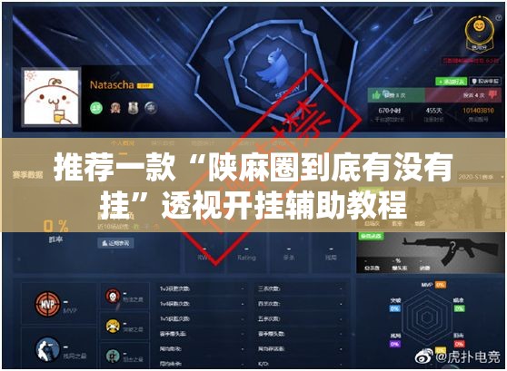 推荐一款“陕麻圈到底有没有挂”透视开挂辅助教程