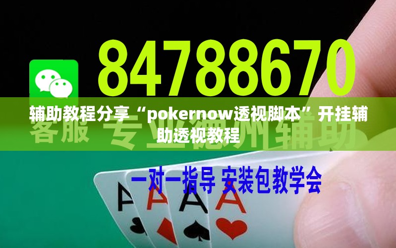 辅助教程分享“pokernow透视脚本	”开挂辅助透视教程