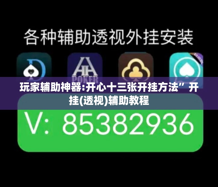 玩家辅助神器:开心十三张开挂方法	”开挂(透视)辅助教程