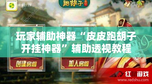 玩家辅助神器“皮皮跑胡子开挂神器”辅助透视教程