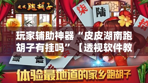玩家辅助神器“皮皮湖南跑胡子有挂吗	”【透视软件教程分享】