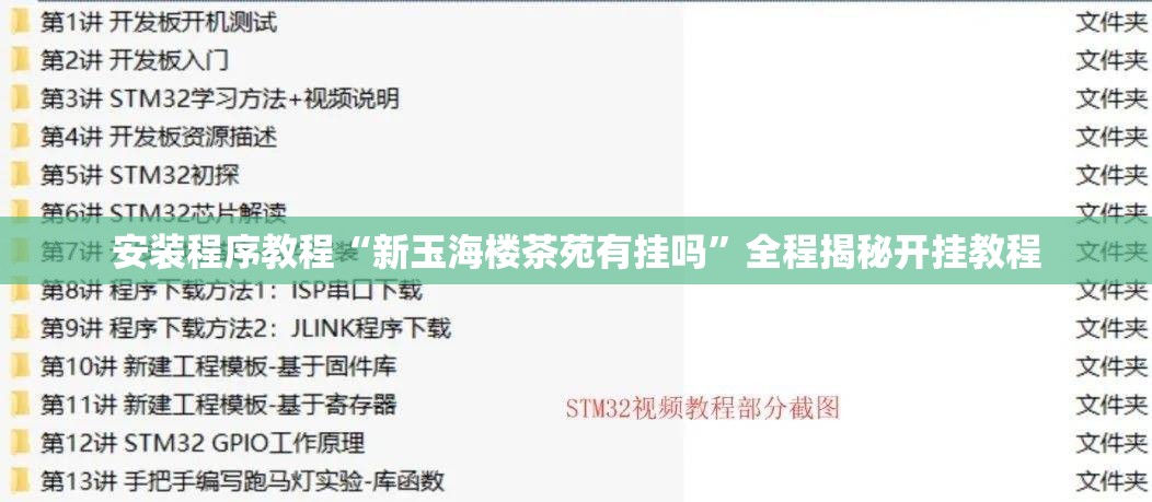 安装程序教程“新玉海楼茶苑有挂吗”全程揭秘开挂教程