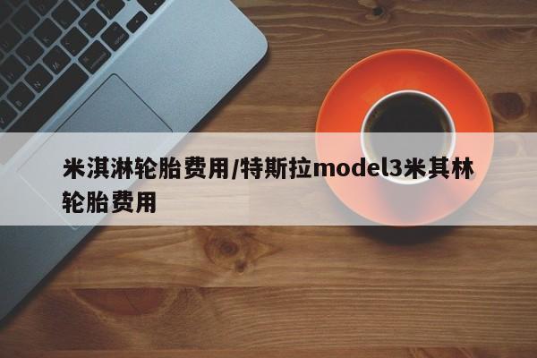 米淇淋轮胎费用/特斯拉model3米其林轮胎费用
