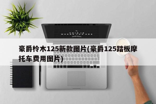 豪爵柃木125新款图片(豪爵125踏板摩托车费用图片)